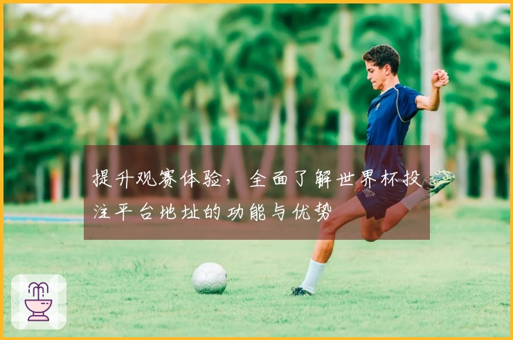 提升观赛体验，全面了解世界杯投注平台地址的功能与优势