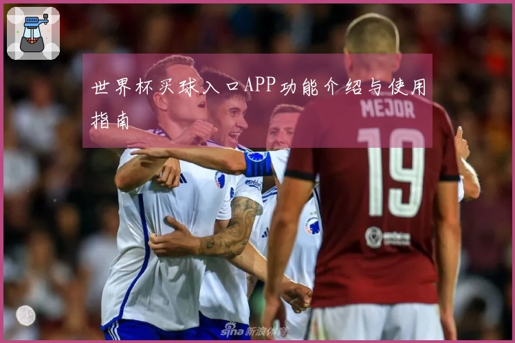 世界杯买球入口APP功能介绍与使用指南