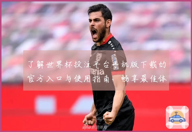 了解世界杯投注平台手机版下载的官方入口与使用指南,畅享最佳体育直播体验