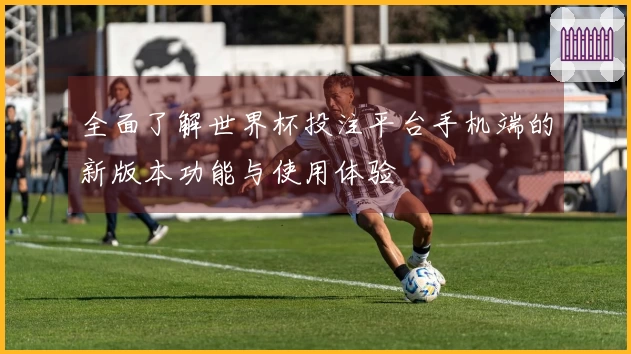 全面了解世界杯投注平台手机端的新版本功能与使用体验