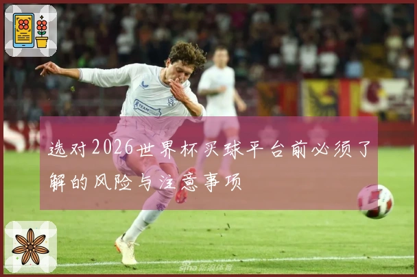 选对2026世界杯买球平台前必须了解的风险与注意事项