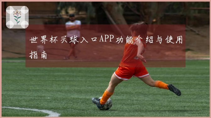 世界杯买球入口APP功能介绍与使用指南