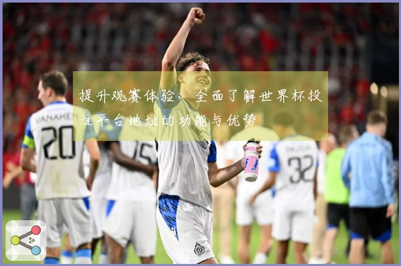 提升观赛体验，全面了解世界杯投注平台地址的功能与优势