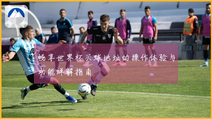 畅享世界杯买球地址的操作体验与功能详解指南