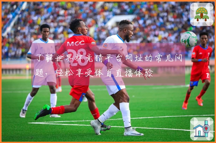 了解世界杯竞猜平台网址的常见问题，轻松享受体育直播体验