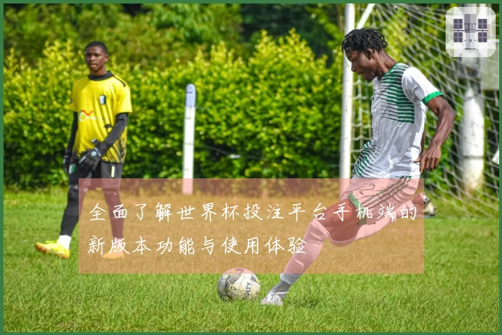 全面了解世界杯投注平台手机端的新版本功能与使用体验