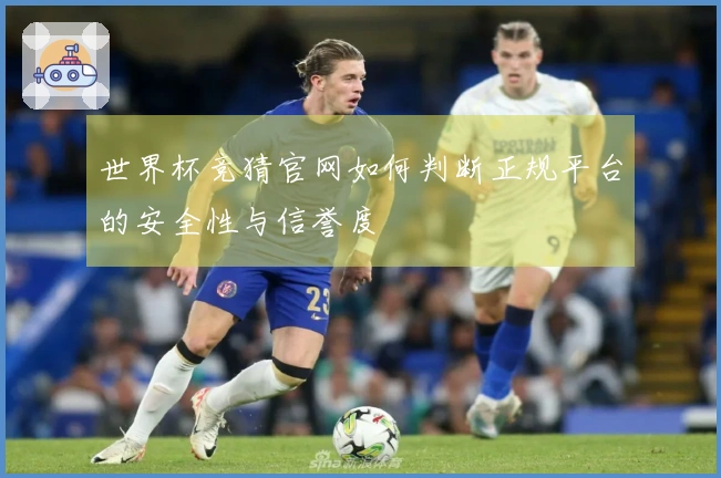 世界杯竞猜官网如何判断正规平台的安全性与信誉度