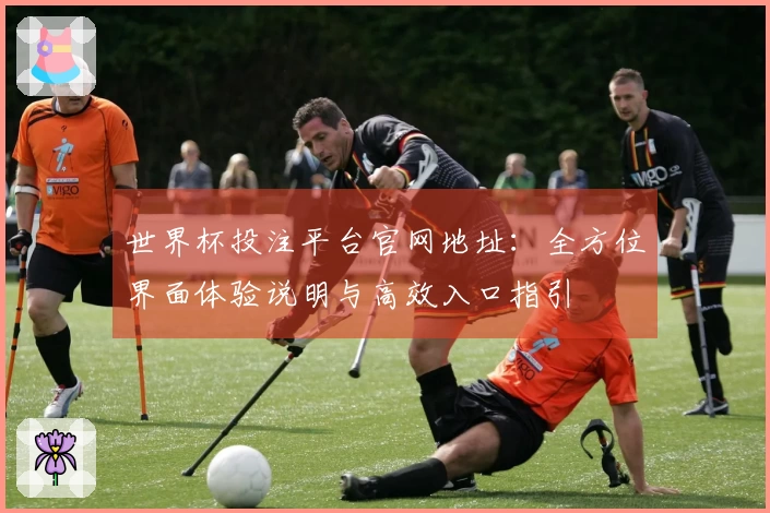 世界杯投注平台官网地址：全方位界面体验说明与高效入口指引
