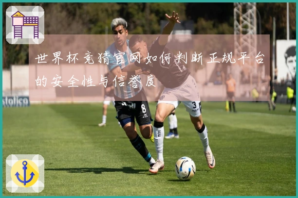 世界杯竞猜官网如何判断正规平台的安全性与信誉度