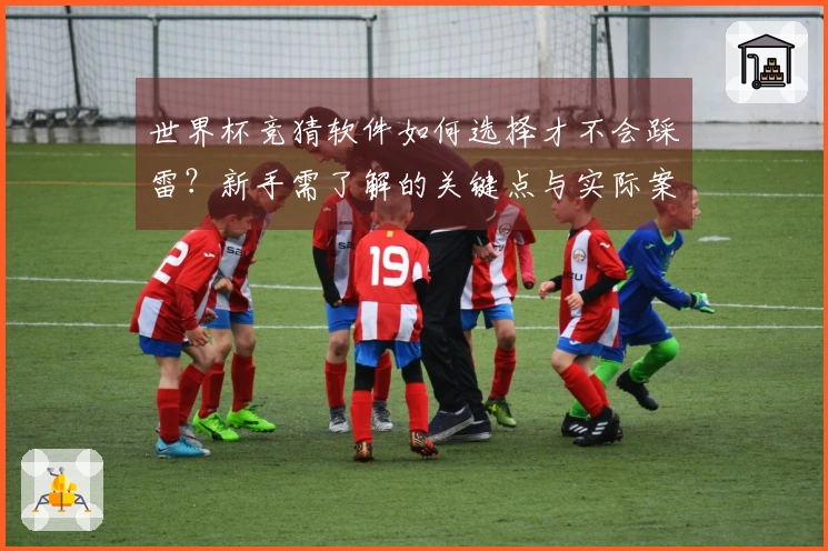 世界杯竞猜软件如何选择才不会踩雷？新手需了解的关键点与实际案例